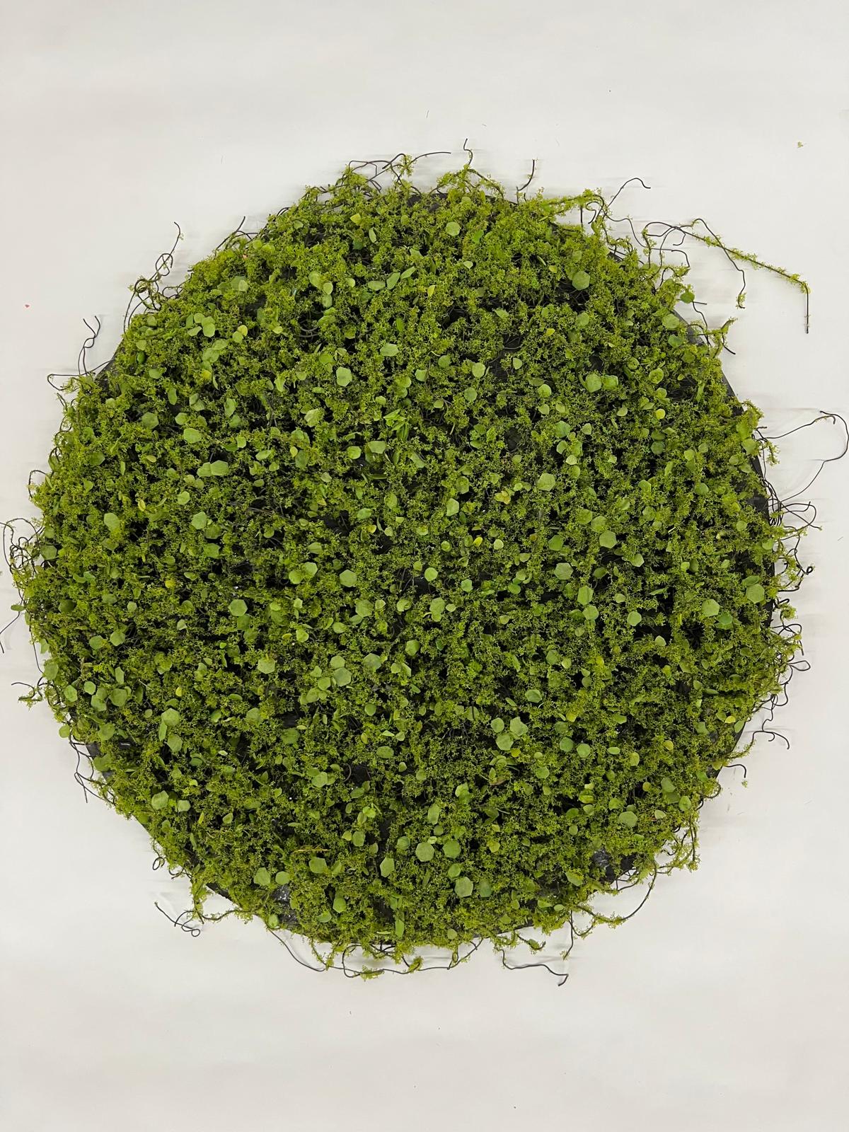 Panou Verdeata - 35cm