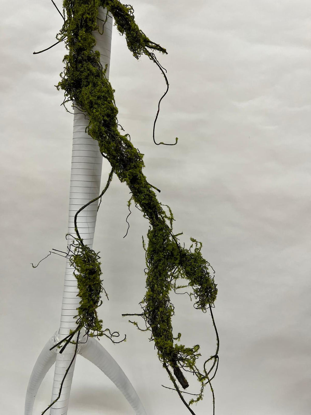Liana Decorativa