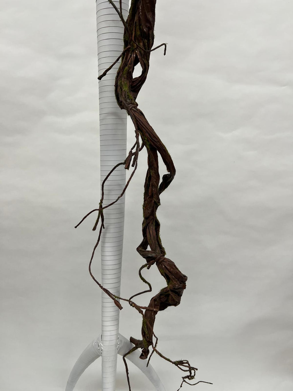 Liana Decorativa