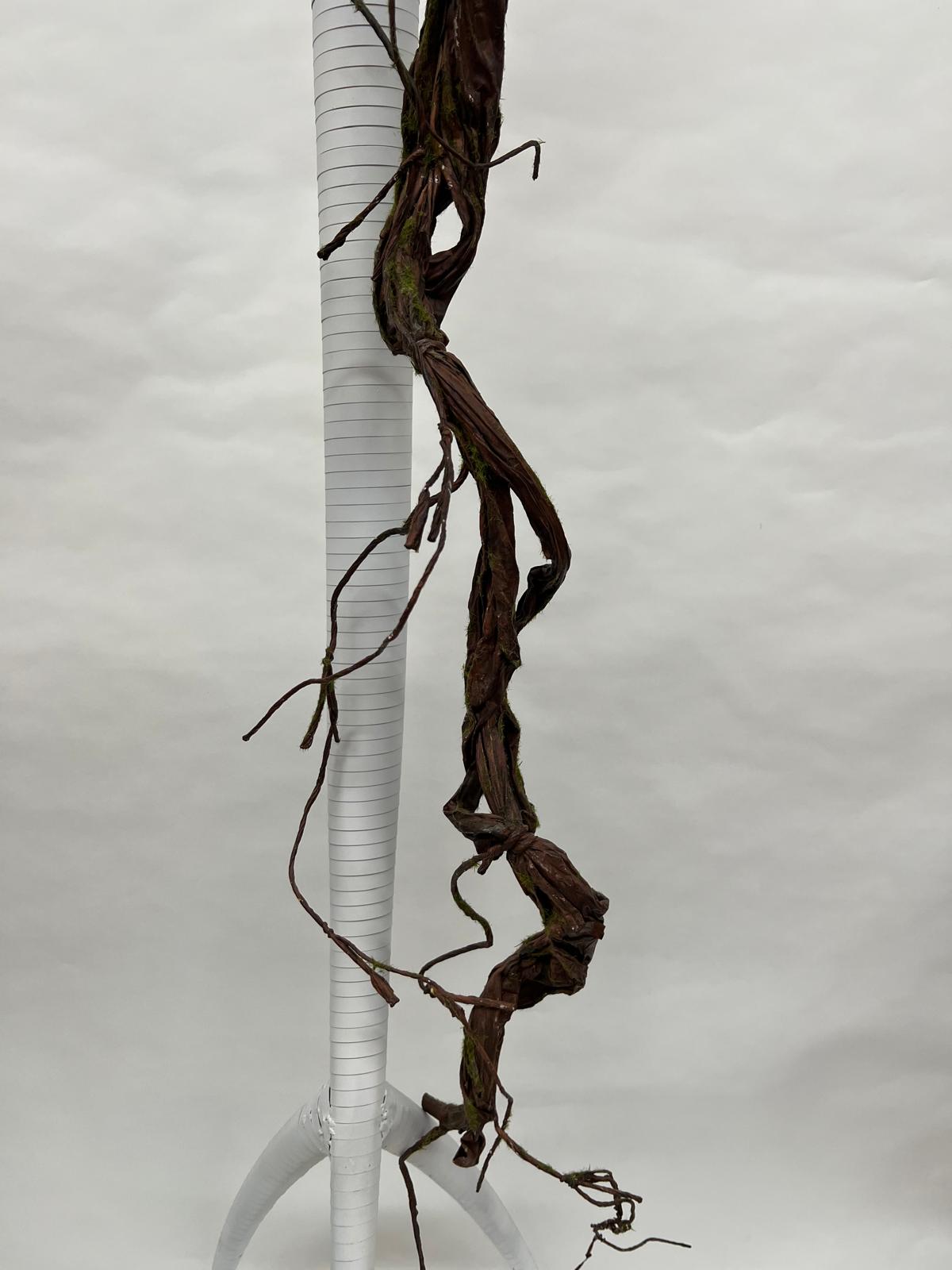 Liana Decorativa