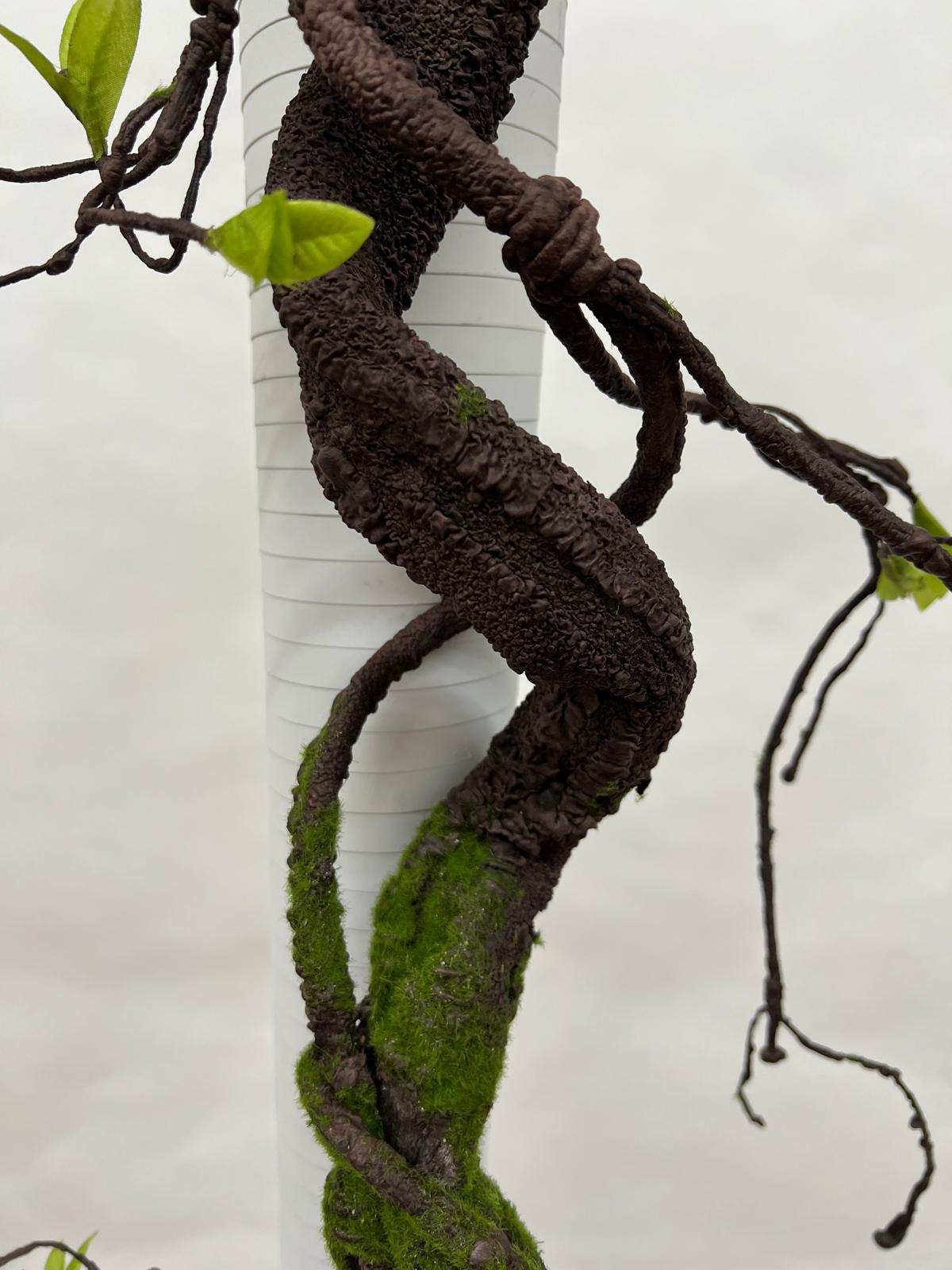 Liana Decorativa