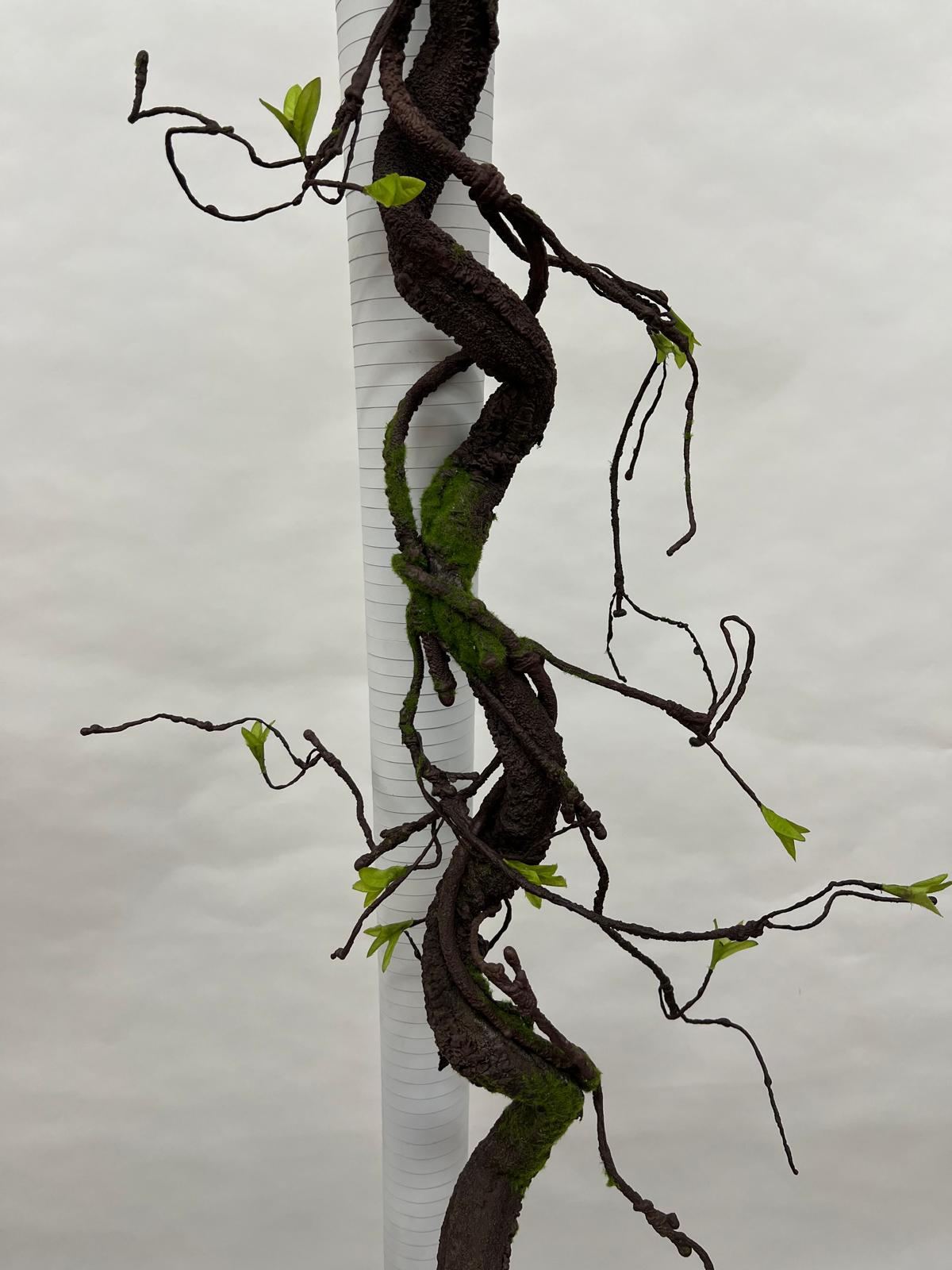 Liana Decorativa