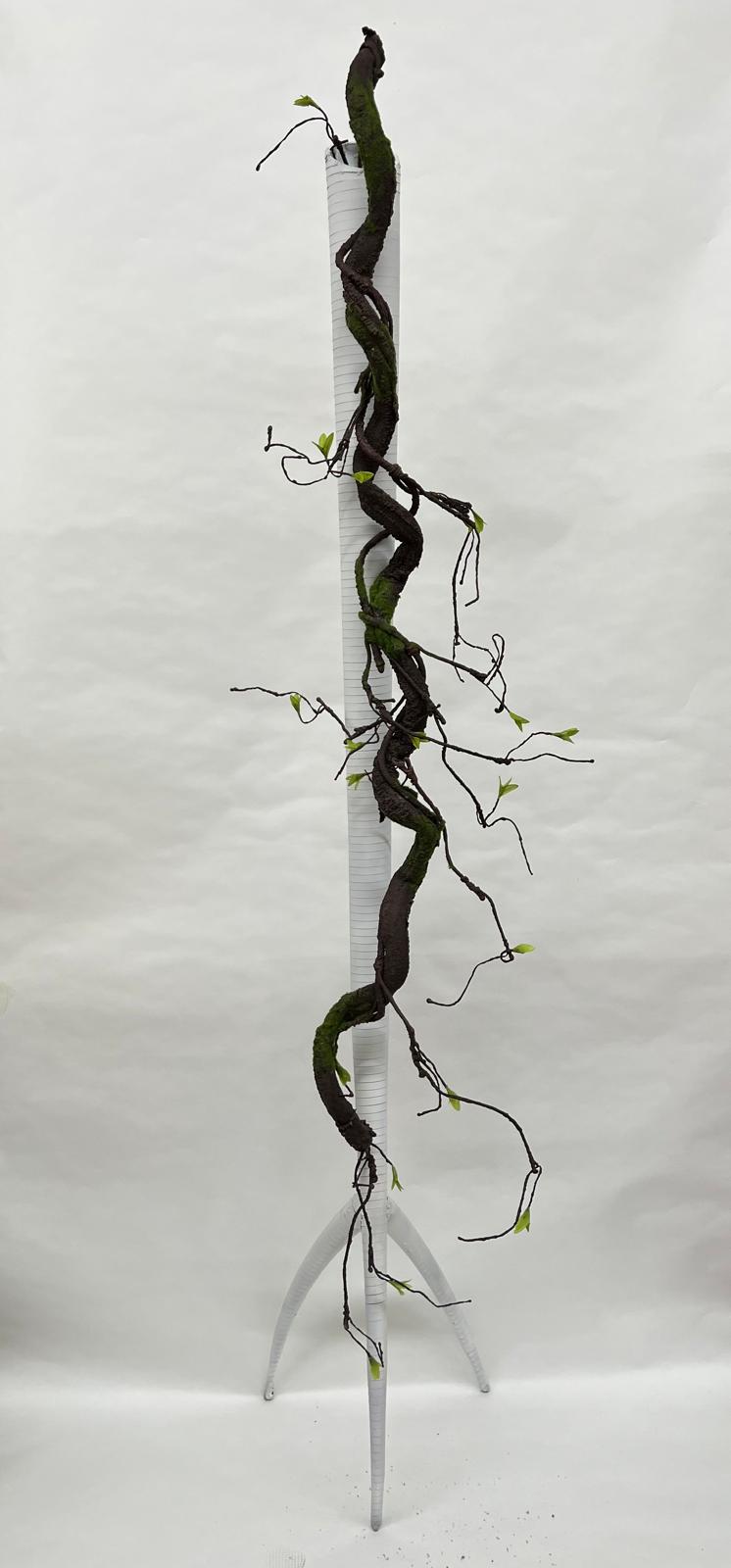 Liana Decorativa