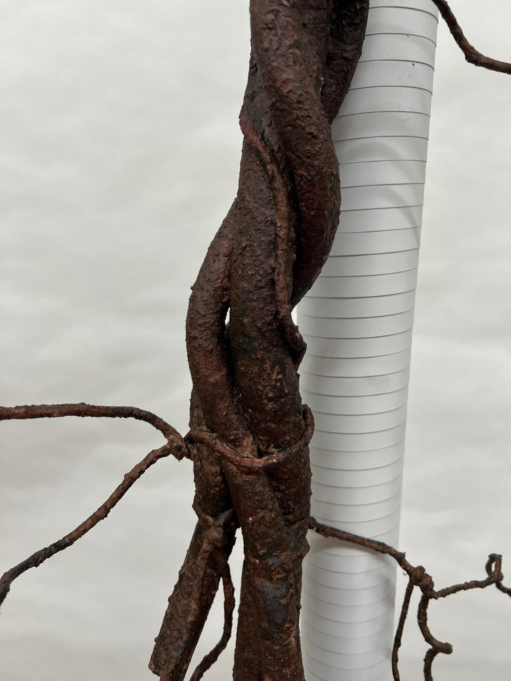 Liana Decorativa