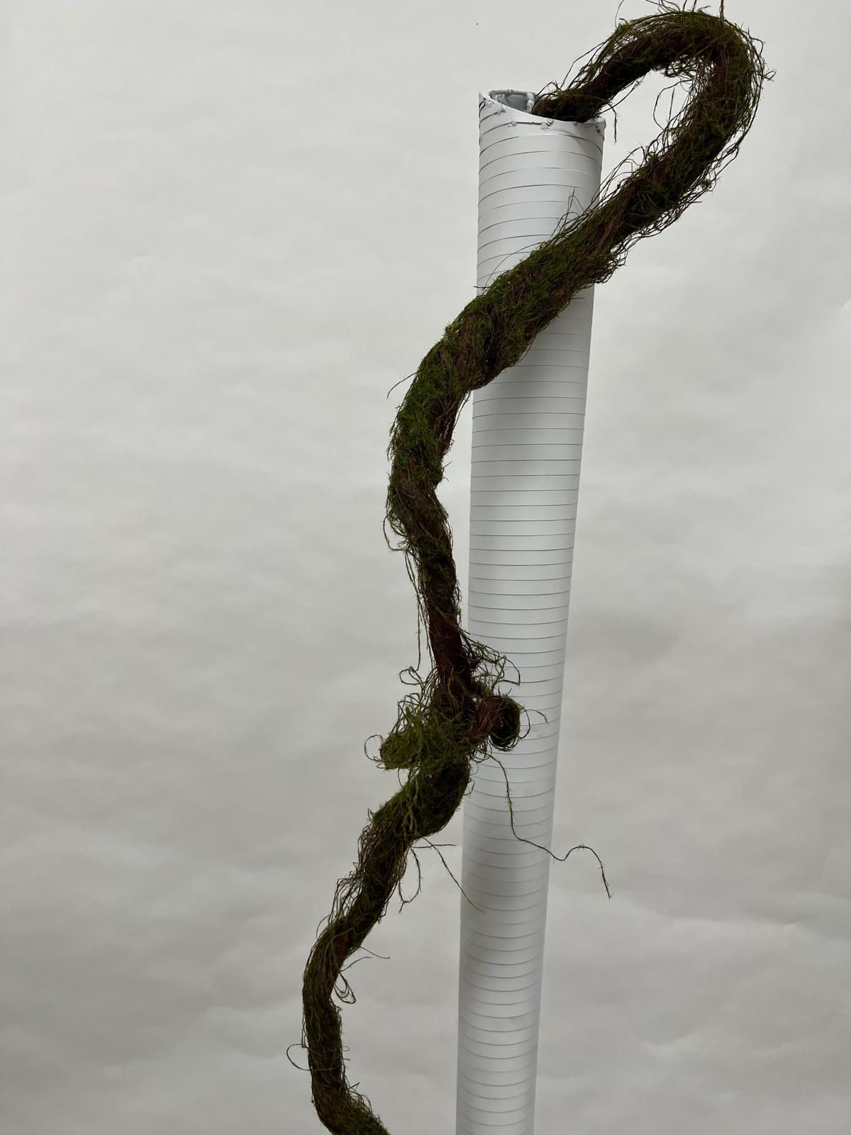 Liana Decorativa