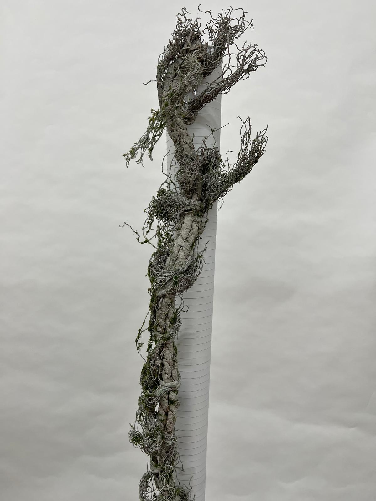 Liana Decorativa