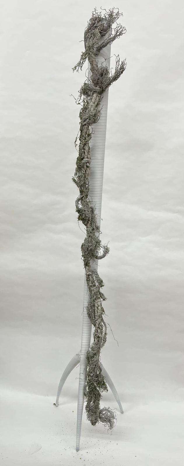 Liana Decorativa