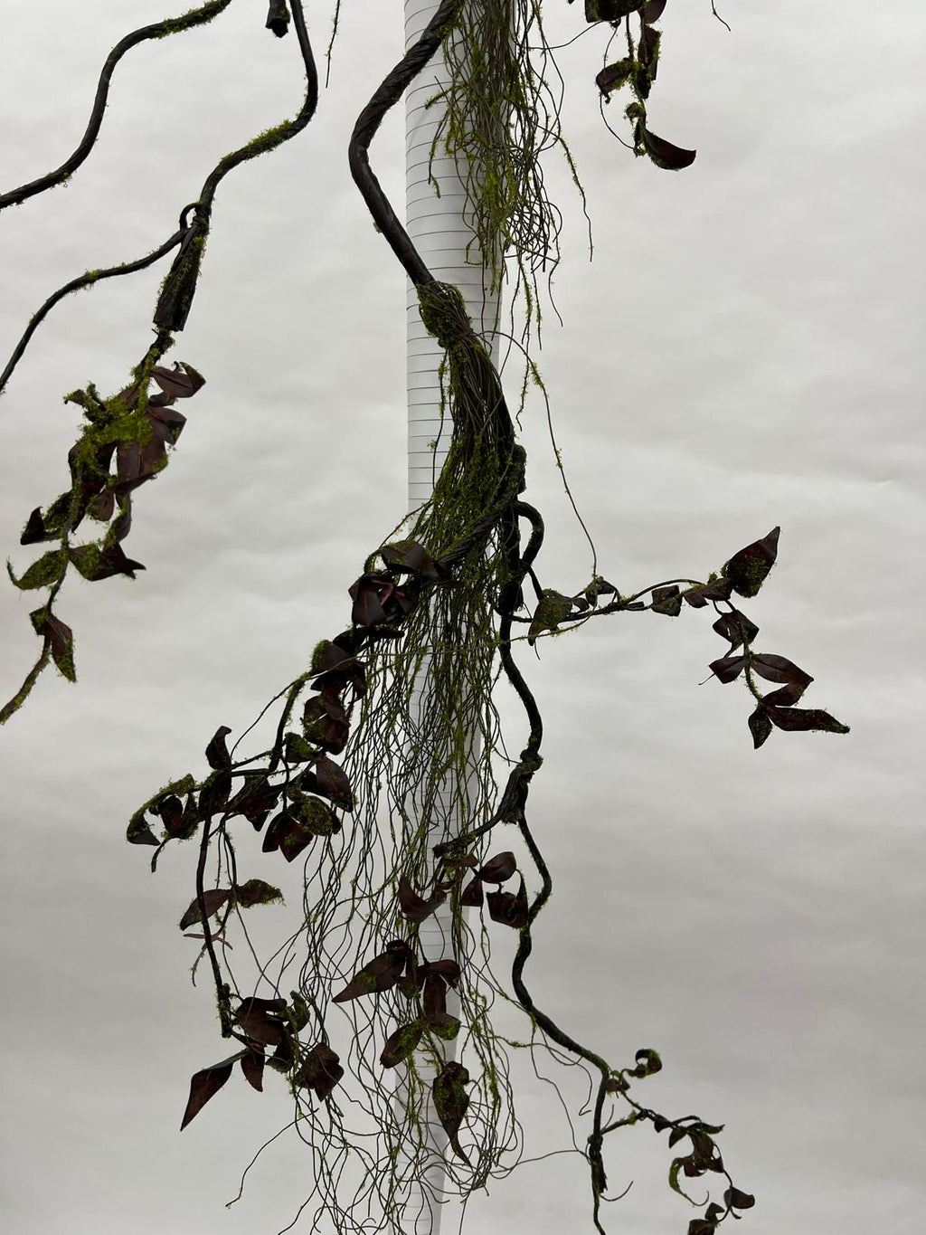 Liana Decorativa
