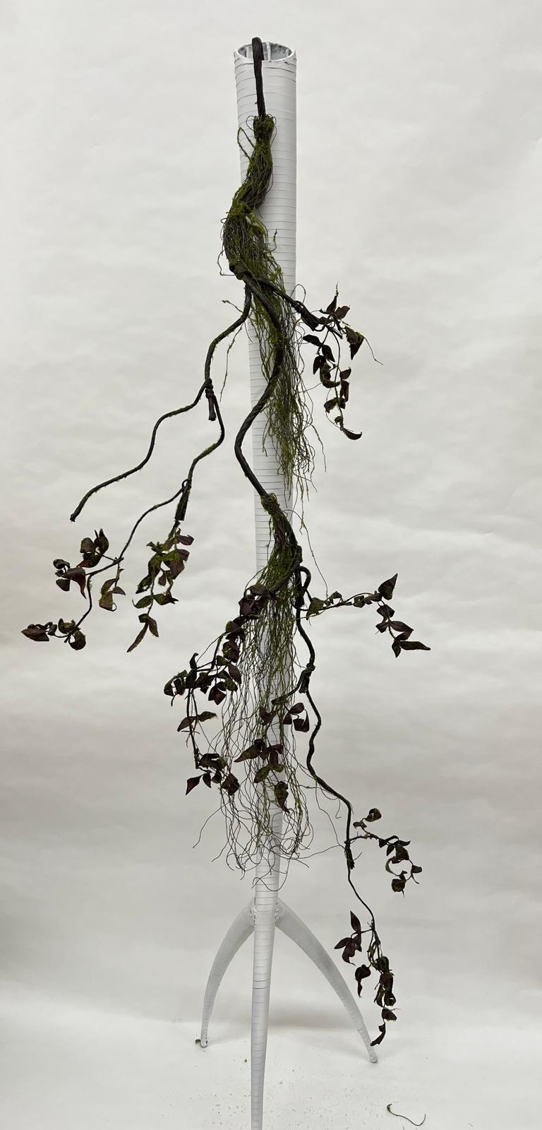 Liana Decorativa