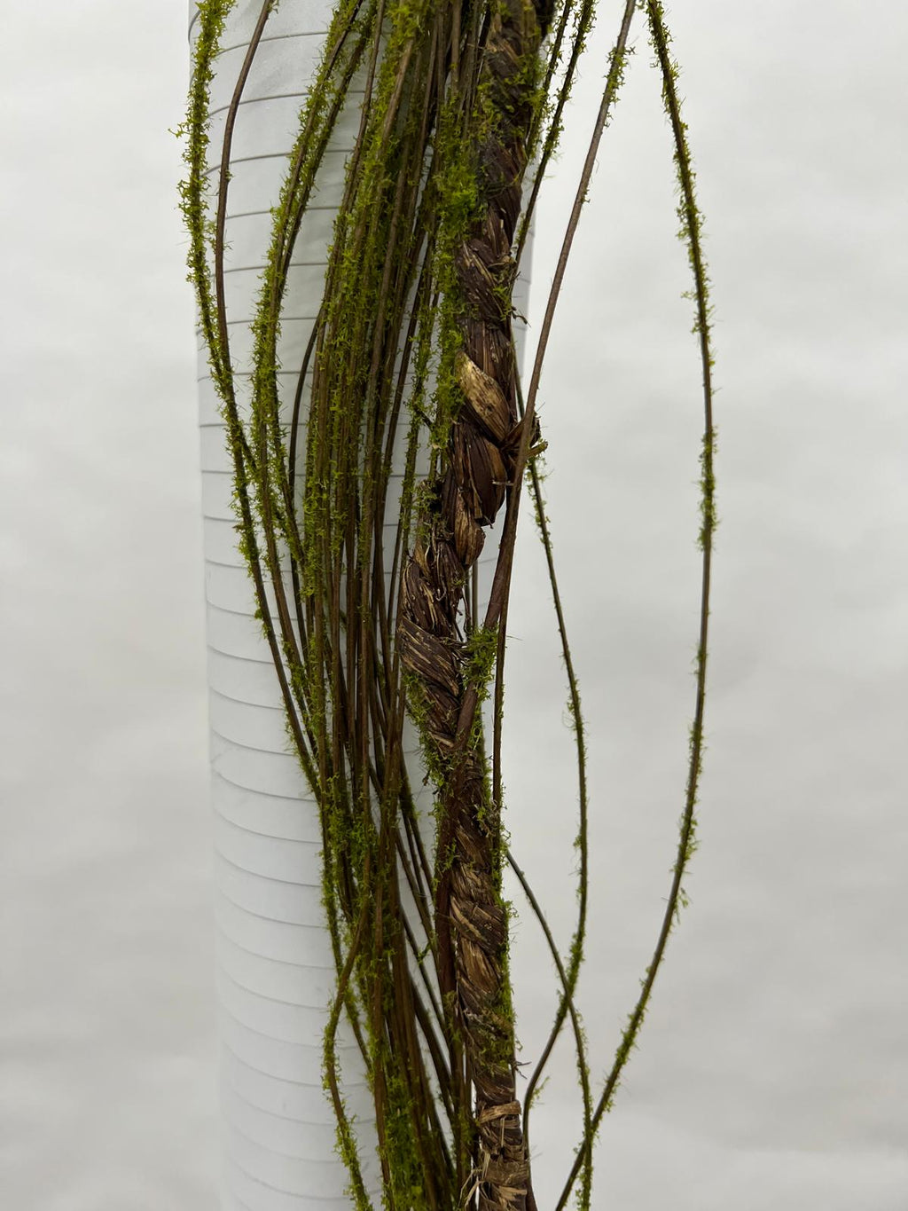 Liana Decorativa