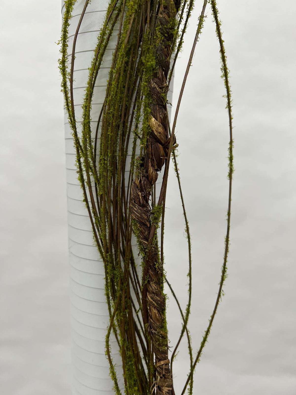 Liana Decorativa