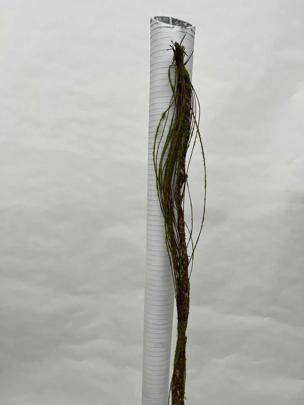 Liana Decorativa