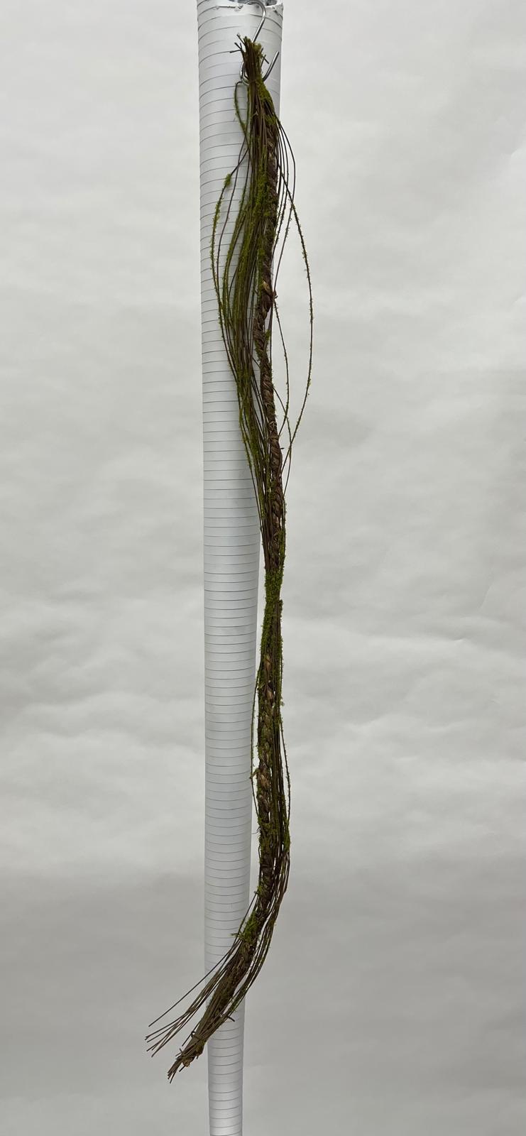 Liana Decorativa