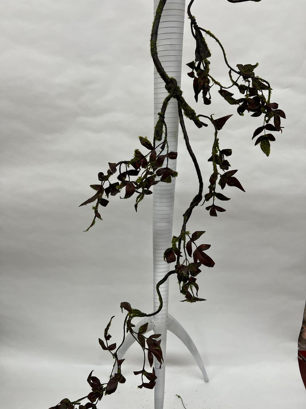 Liana Decorativa