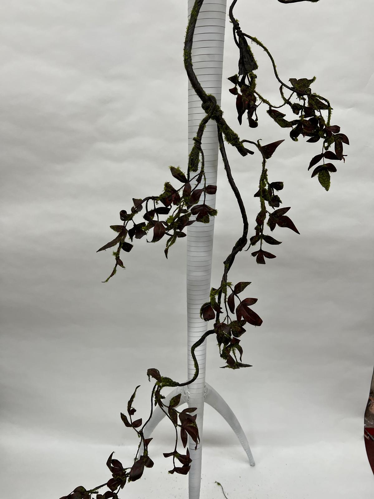 Liana Decorativa