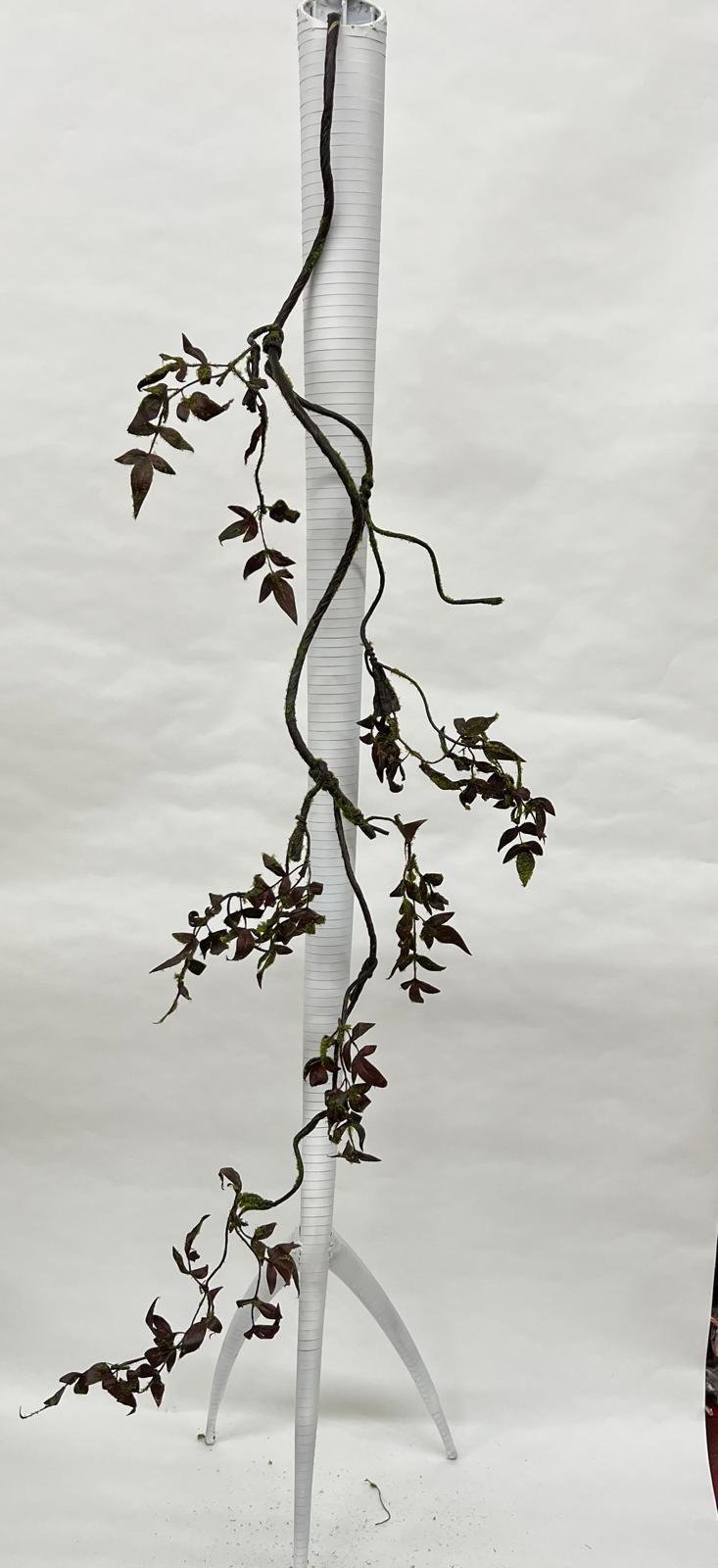 Liana Decorativa