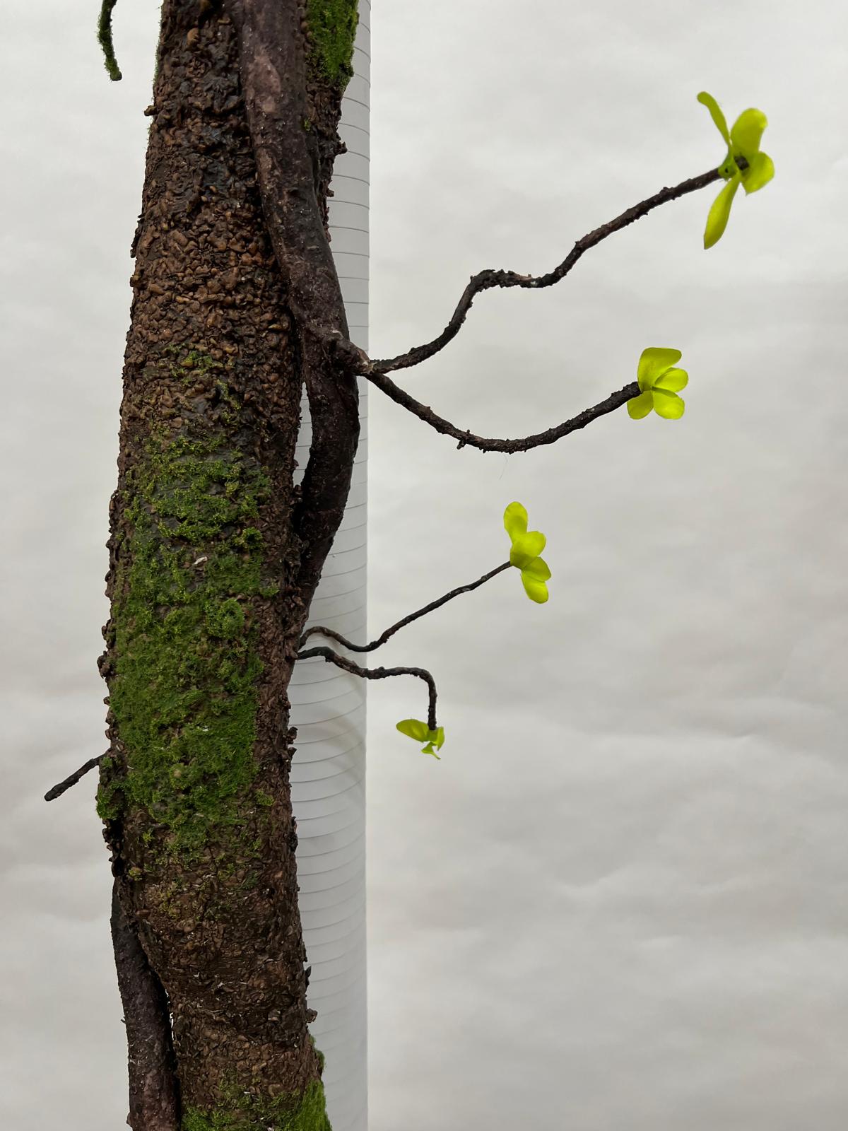 Liana Decorativa