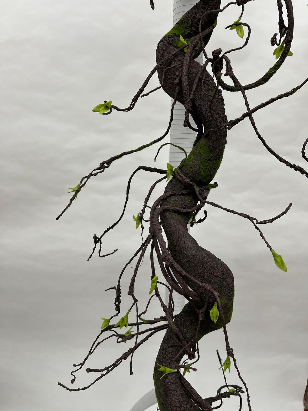 Liana Decorativa