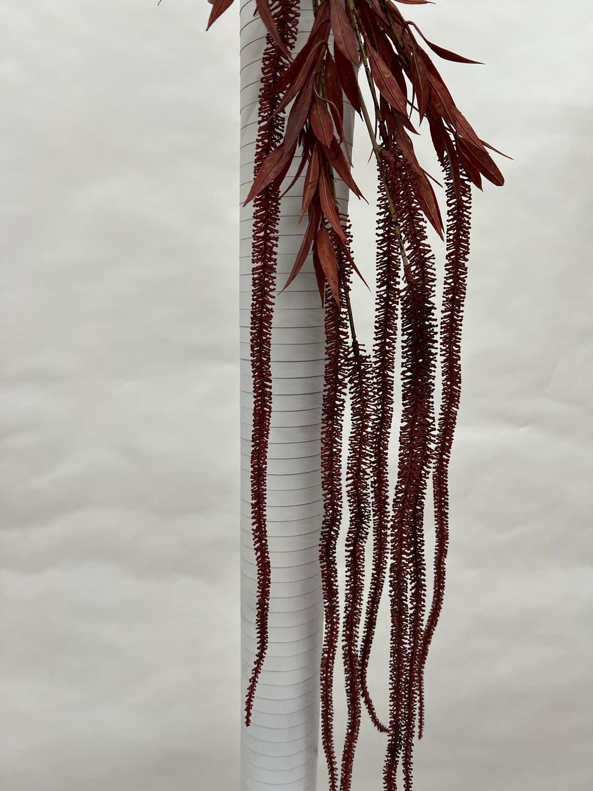 Amaranthus (matisori)