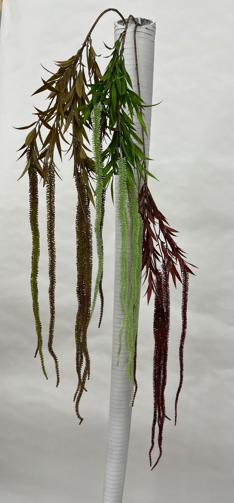 Amaranthus (matisori)