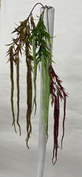 Amaranthus (matisori)
