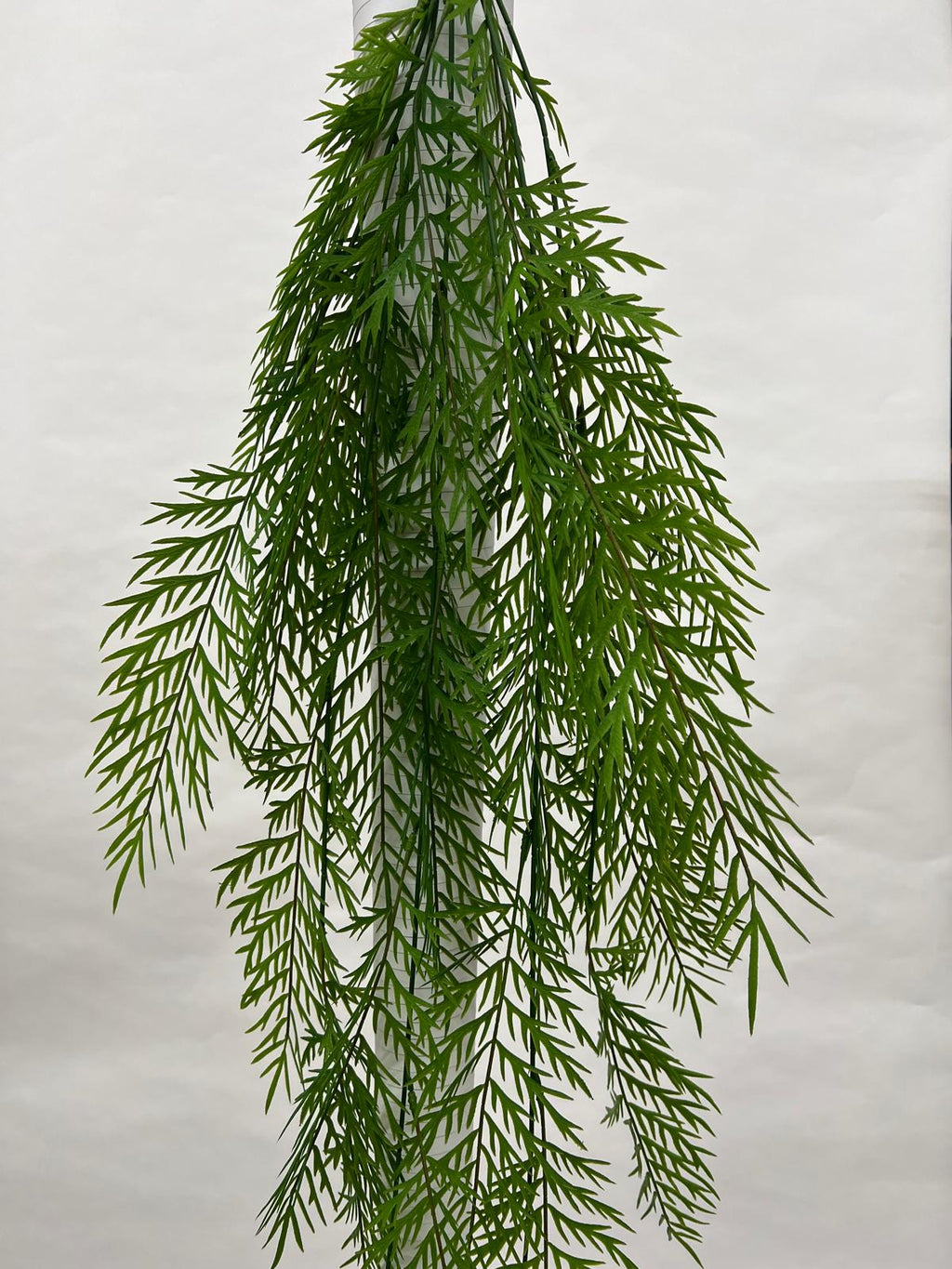 Plante curgatoare