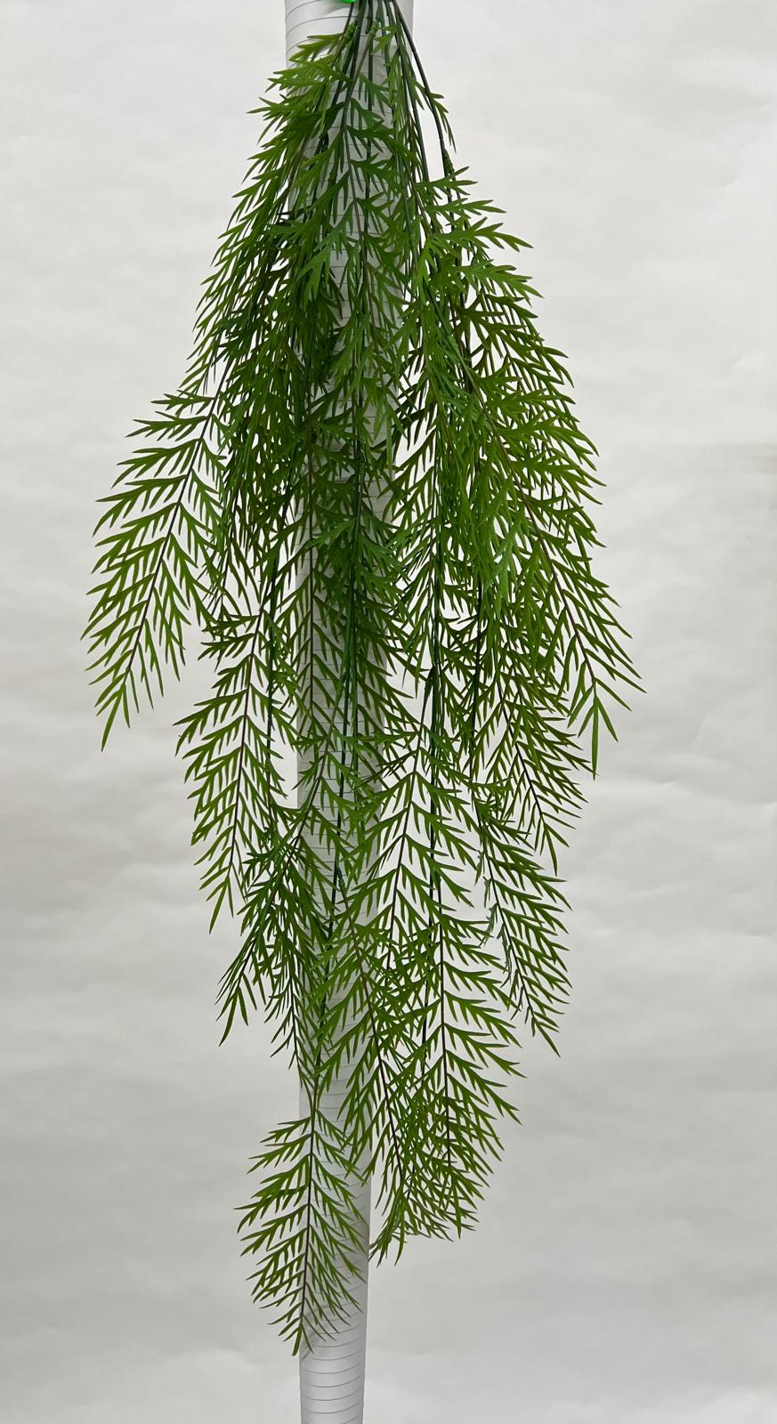 Plante curgatoare