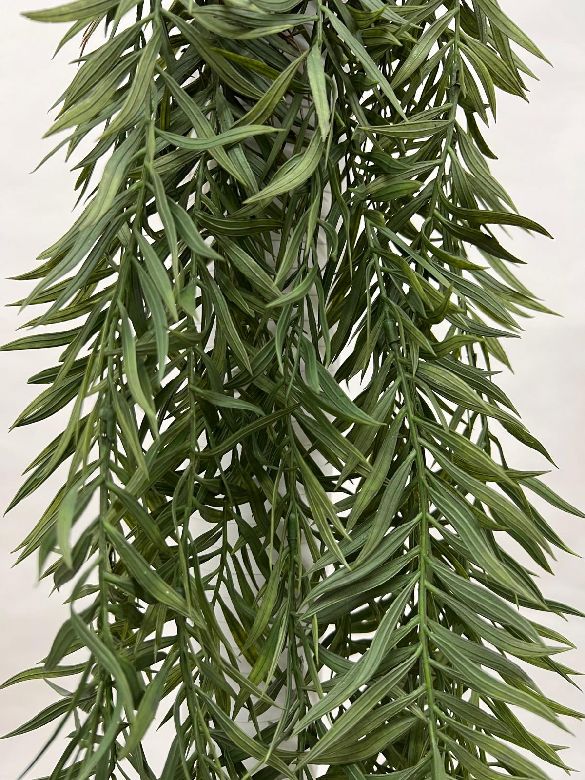 Plante Curgatoare