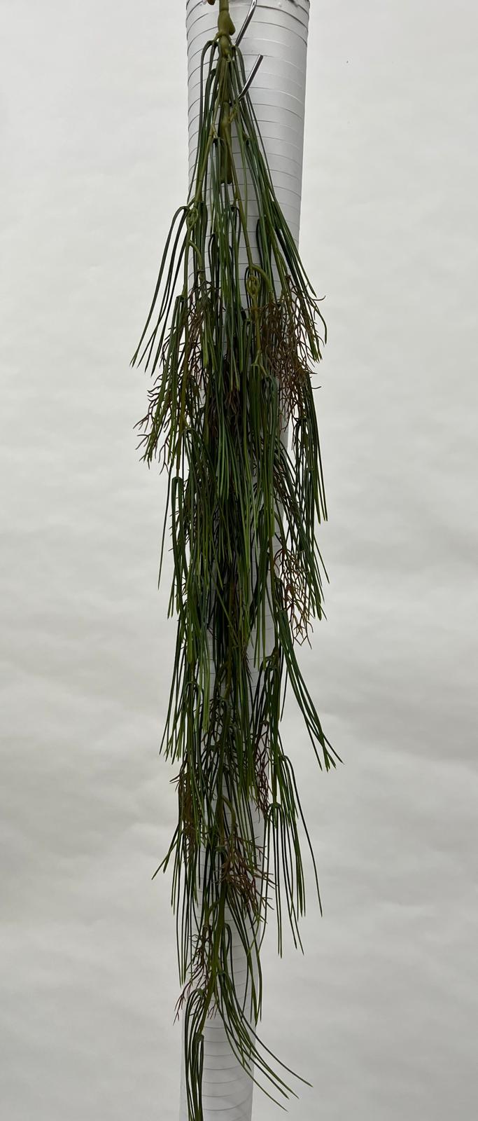 Plante Curgatoare