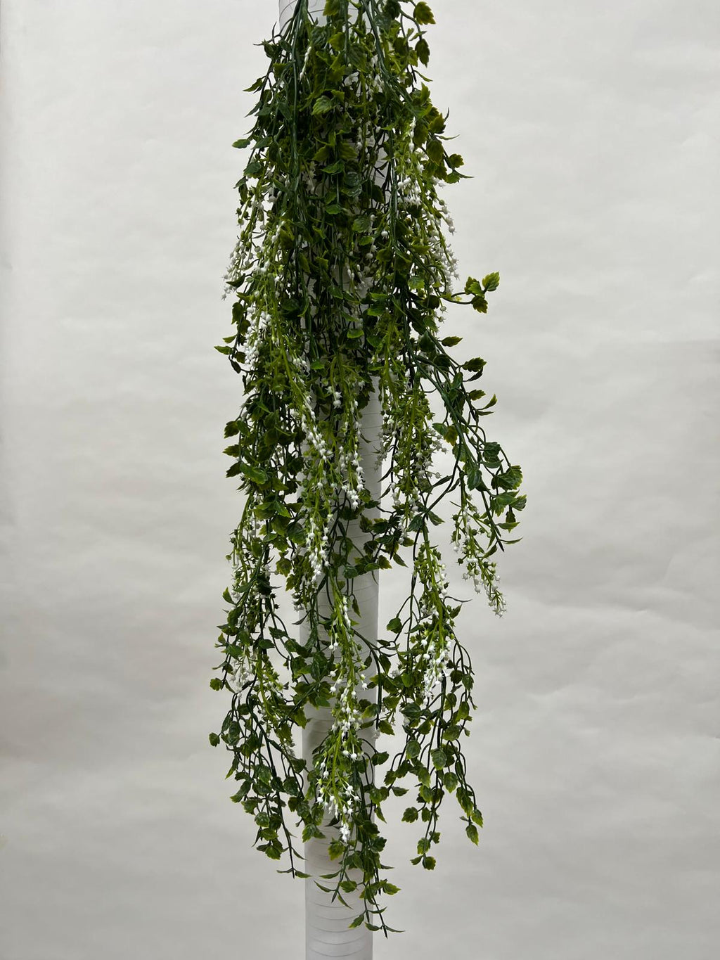 Plante Curgatoare