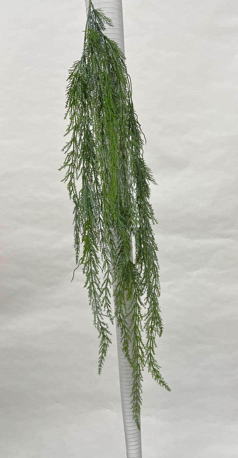 Plante Curgatoare
