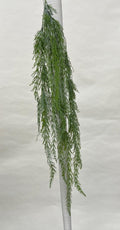 Plante Curgatoare