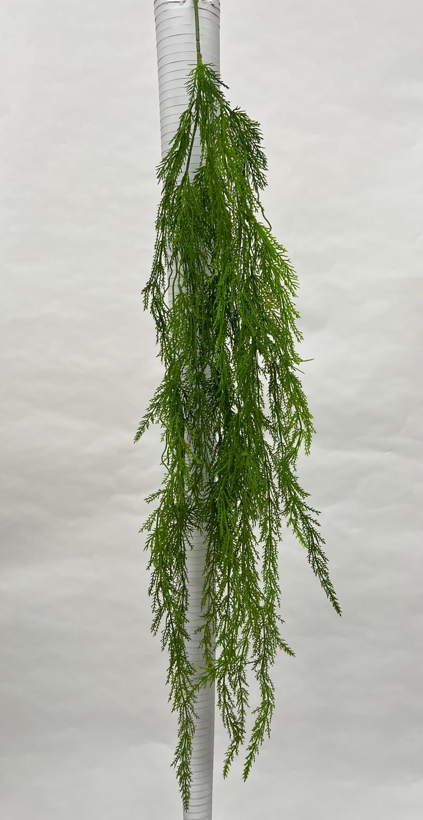 Plante Curgatoare