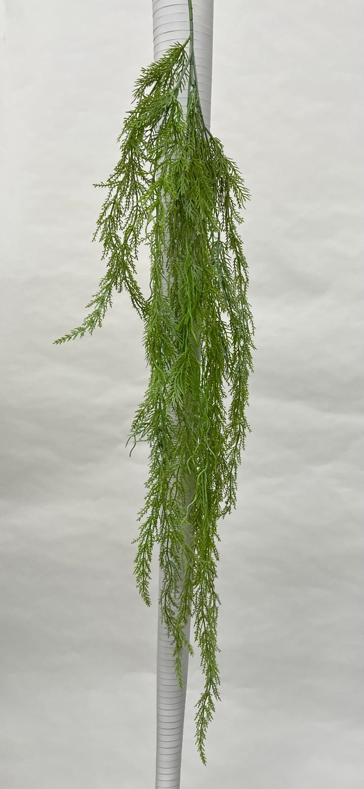 Plante Curgatoare