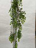 Plante Curgatoare