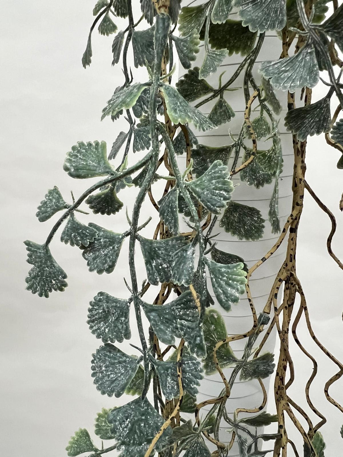 Plante Curgatoare