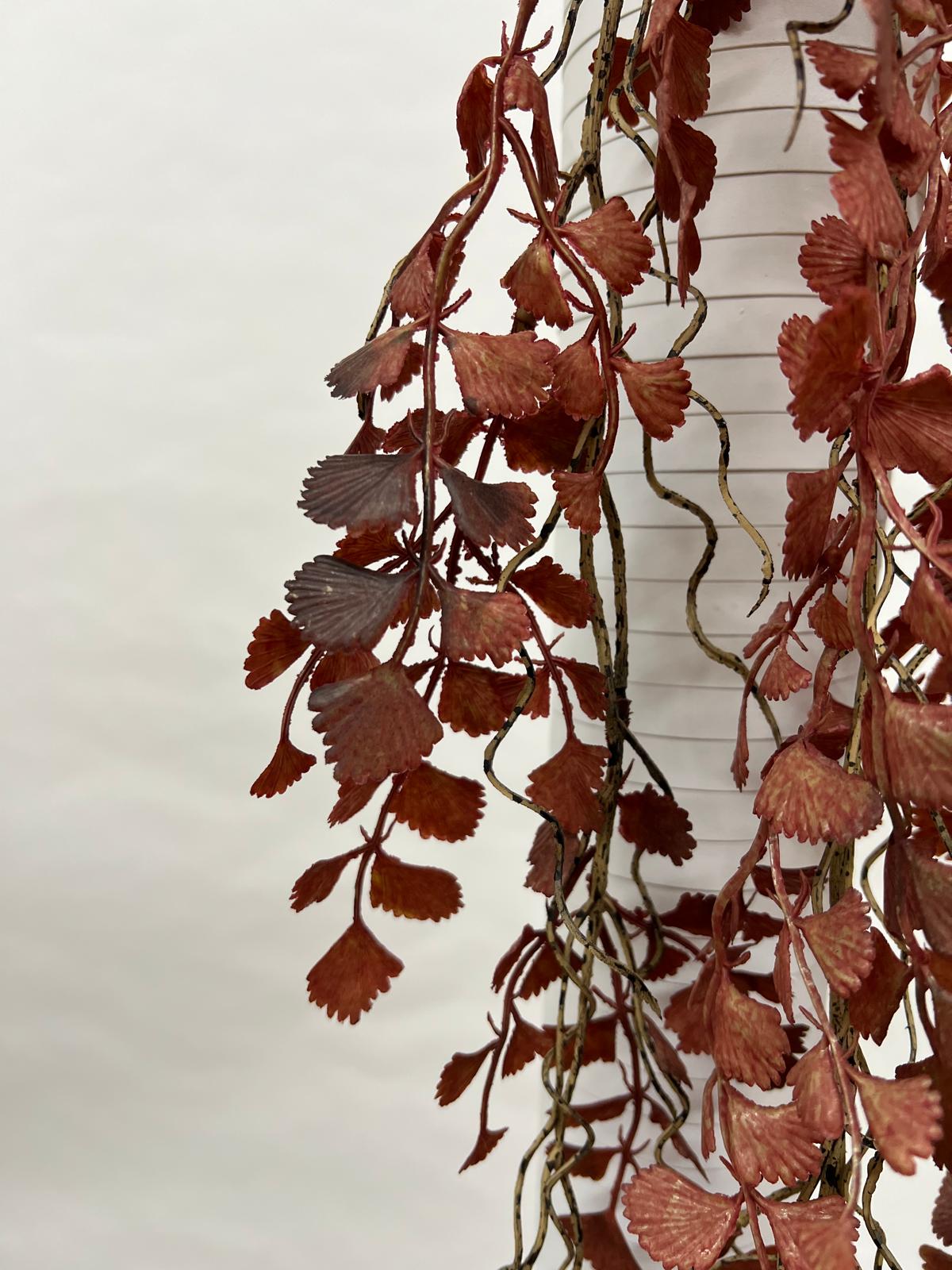 Plante Curgatoare