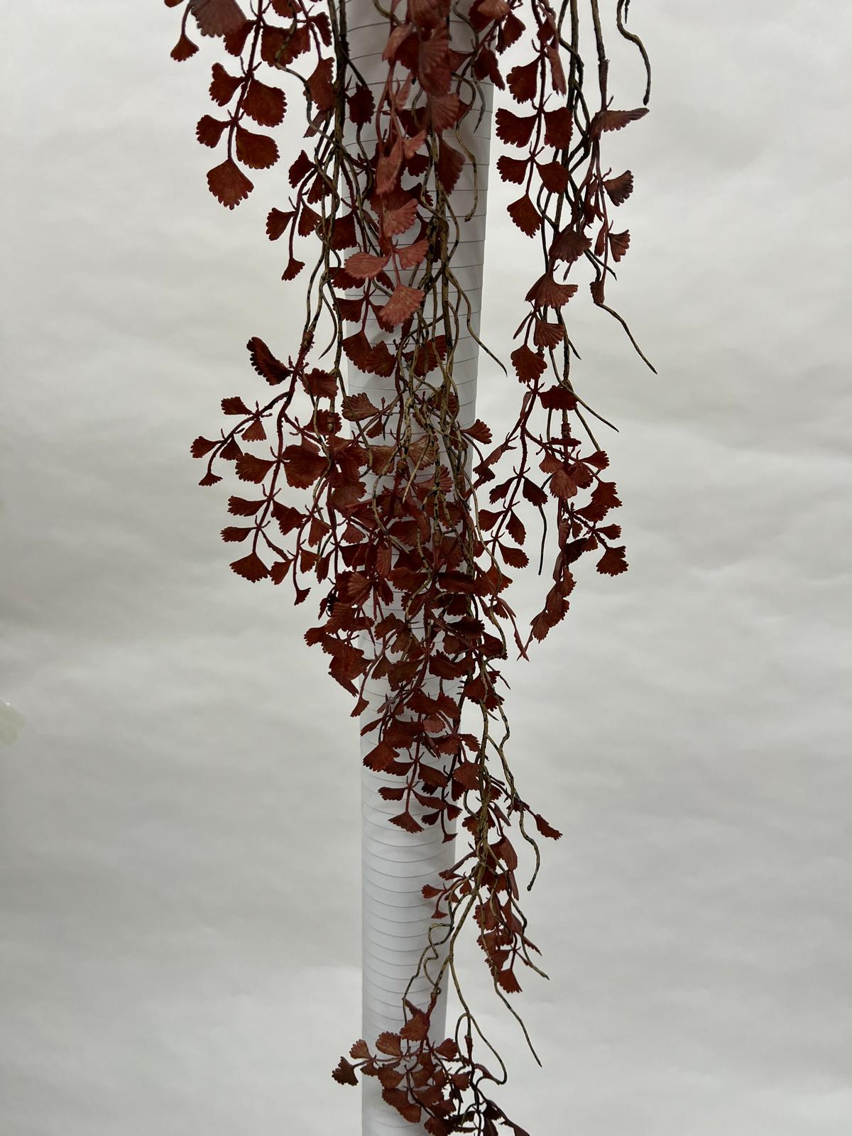 Plante Curgatoare