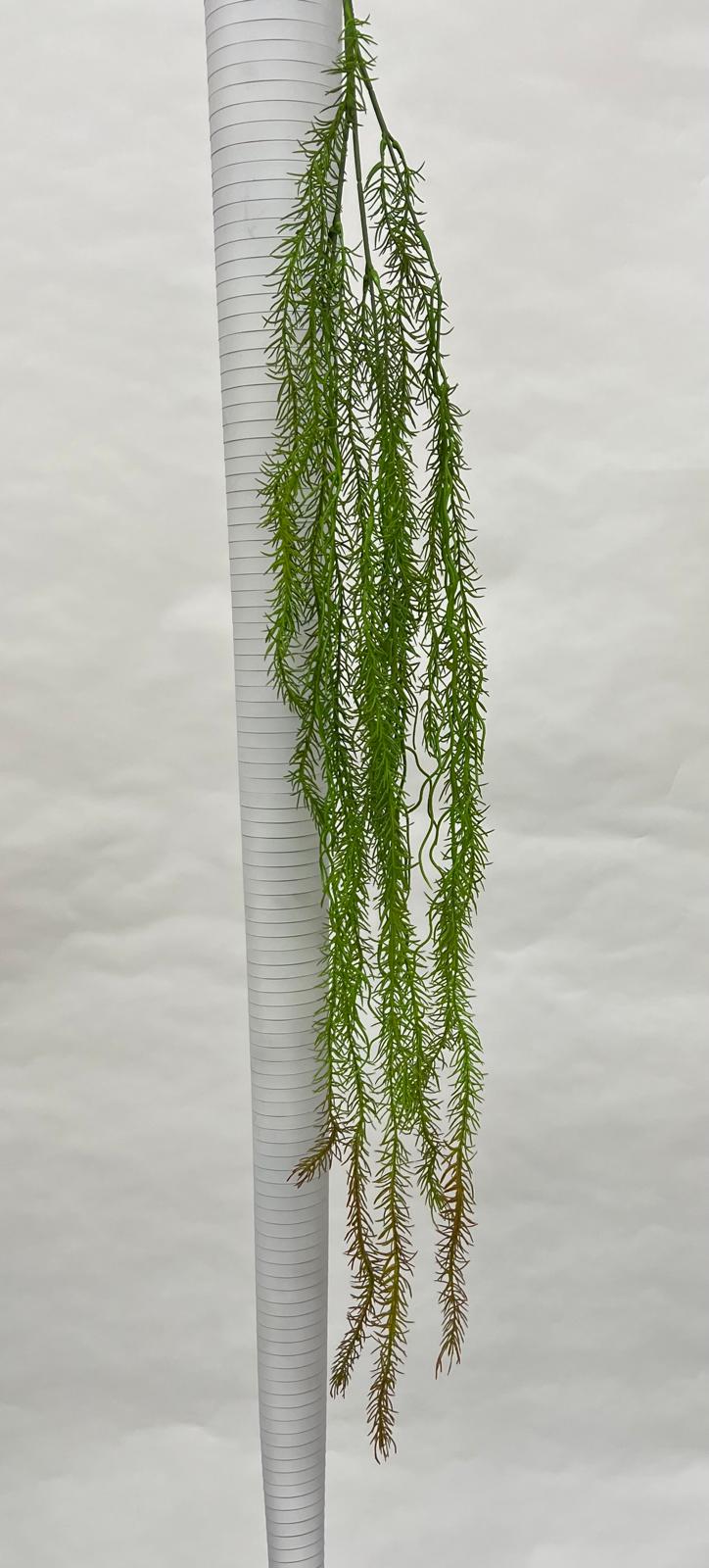 Planta Curgatoare