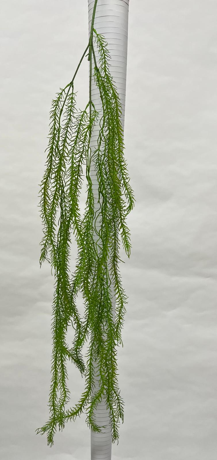Plante Curgatoare