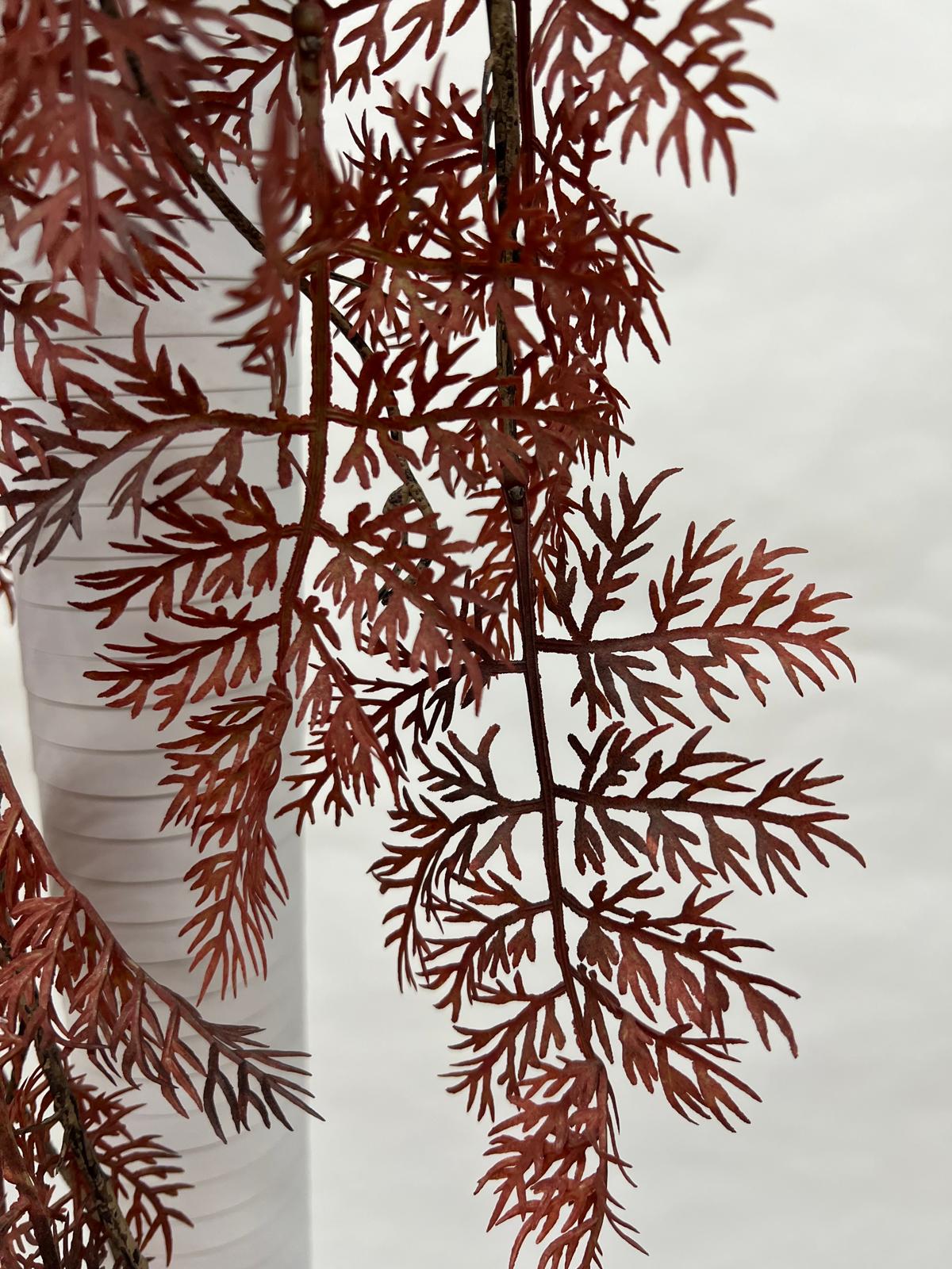 Plante Curgatoare