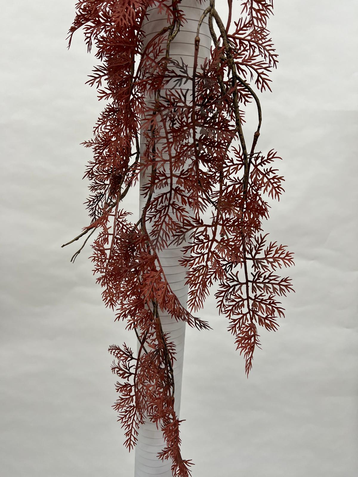 Plante Curgatoare
