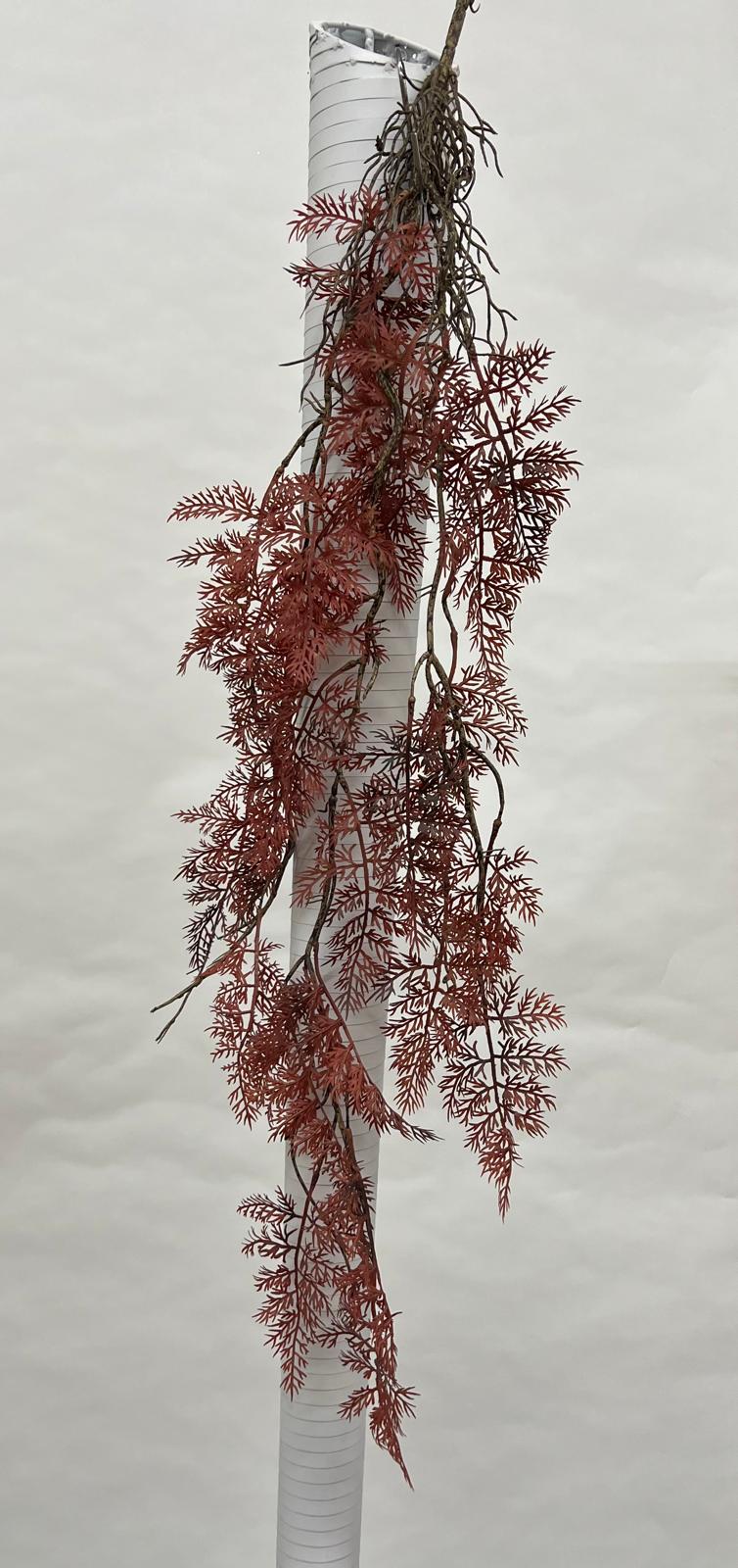 Plante Curgatoare