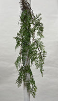 Plante Curgatoare