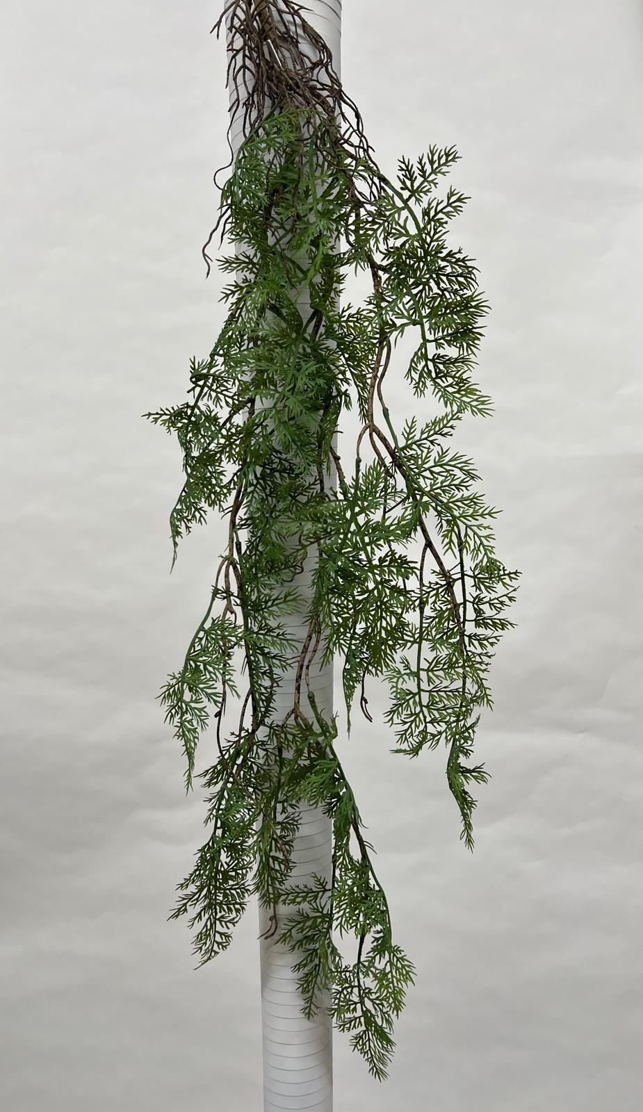 Plante Curgatoare