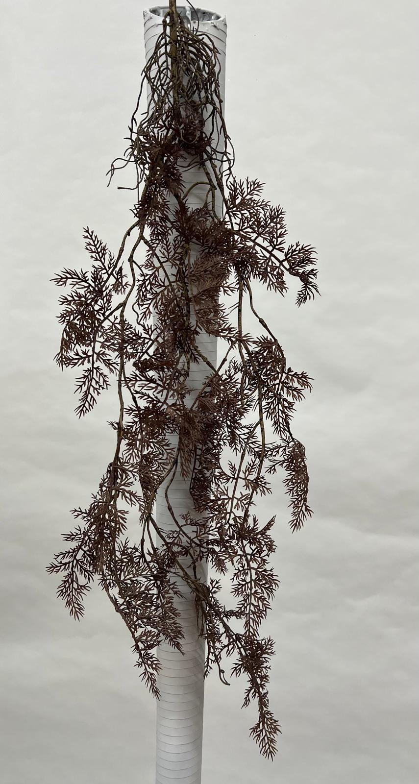 Plante Curgatoare