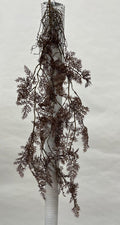 Plante Curgatoare