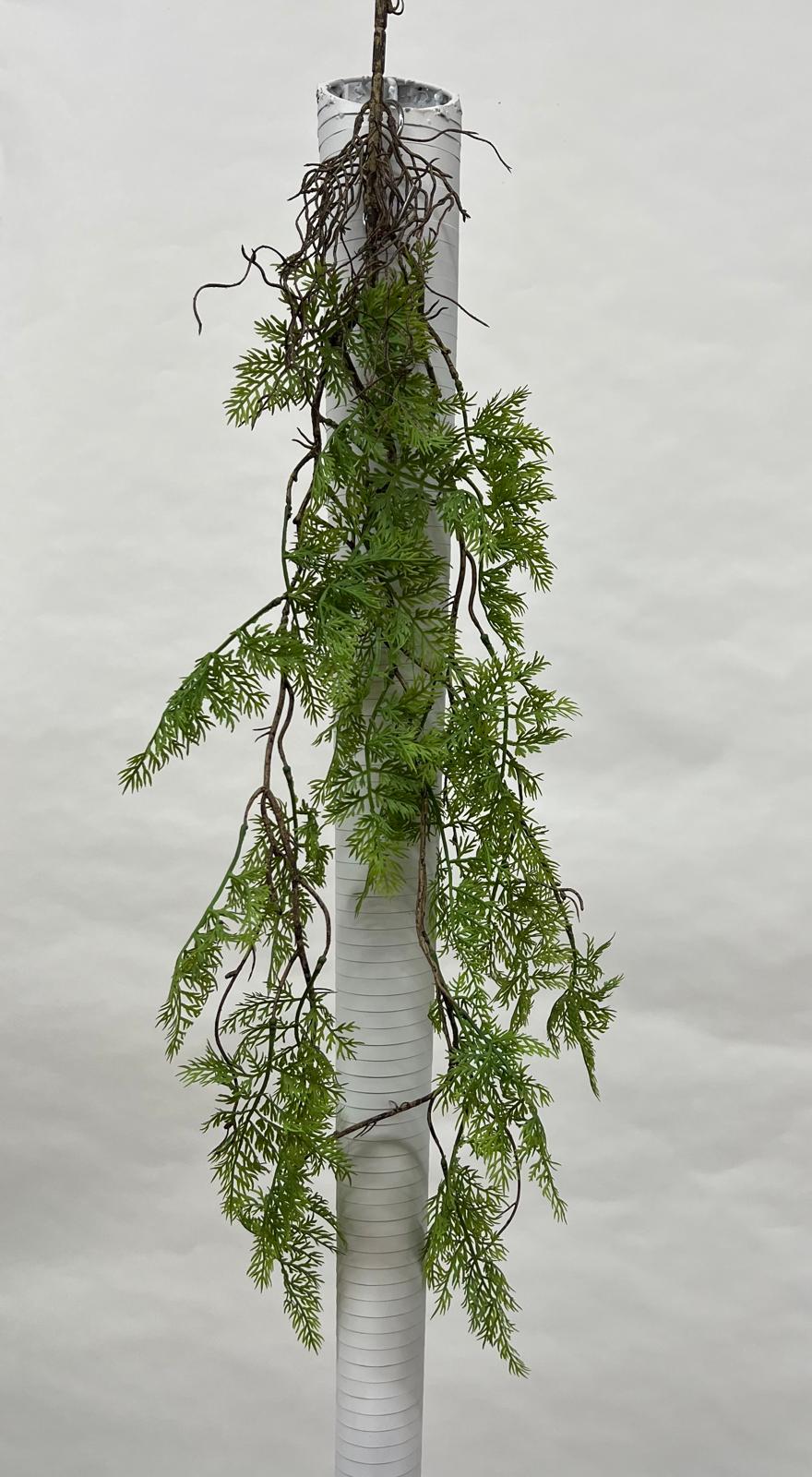 Plante Curgatoare
