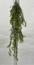 Plante Curgatoare