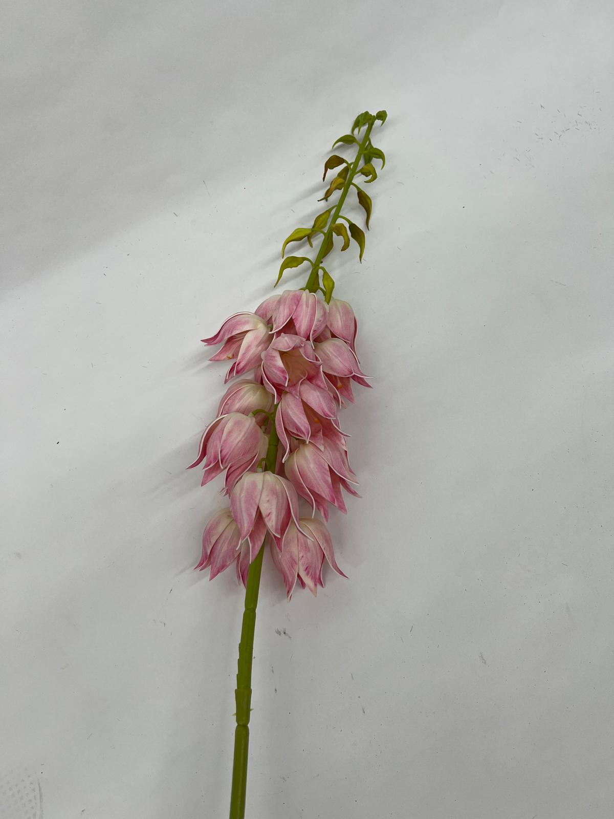 Clopotei